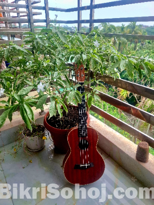 Ukulele